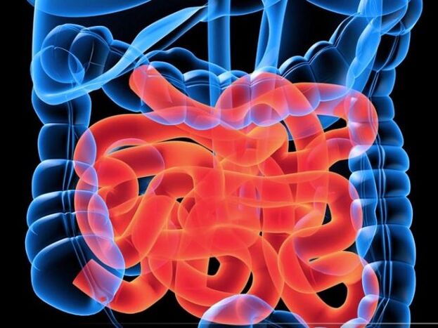 Paraziți în intestinul subțire