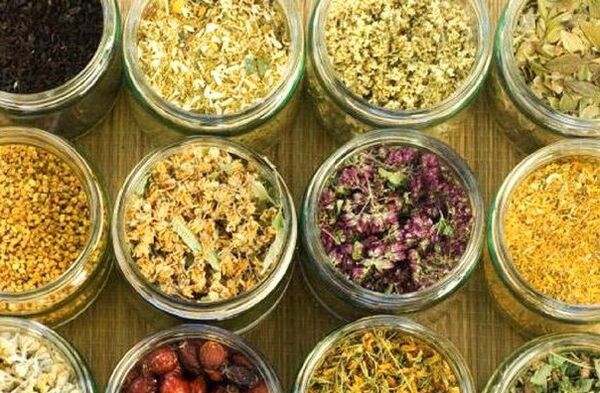 curățarea organismului de paraziți folosind remedii populare