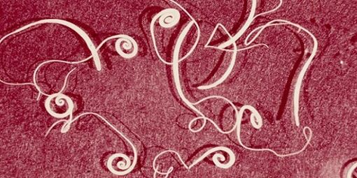 fotografie cu paraziți din corpul uman